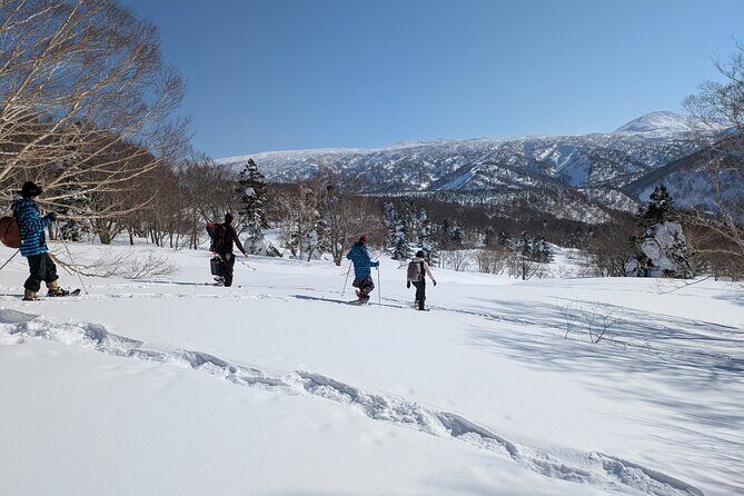 Hakkoda Area Snowshoe Adventure Tour - Weather and Safety Protocols
