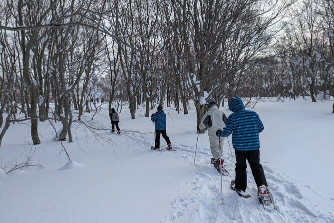 Hakkoda Area Snowshoe Adventure Tour - Who Will Love This Tour?