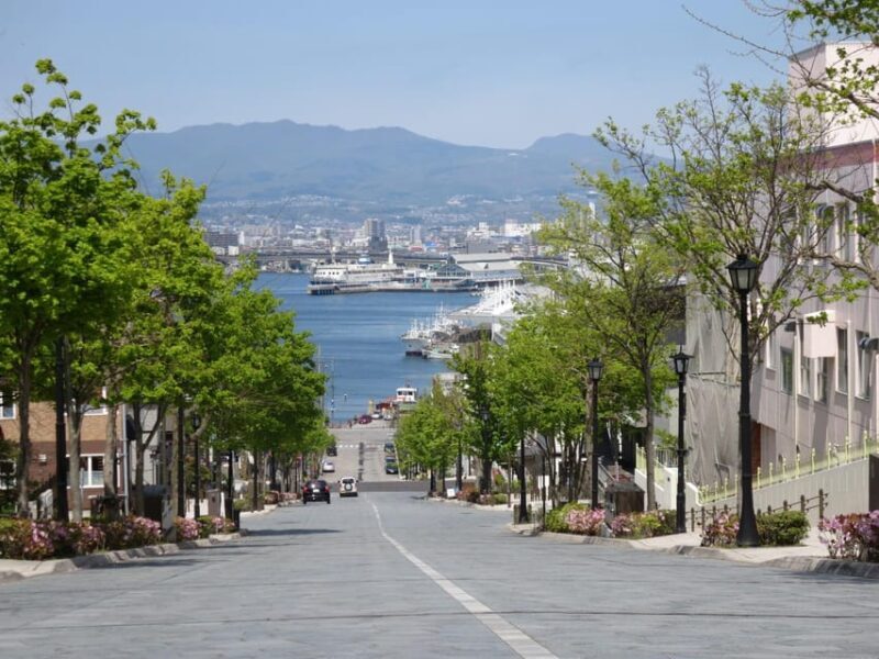 Hakodate: a half-day tour with Government Licensed guide - Exploring Hakodate with a Local Touch