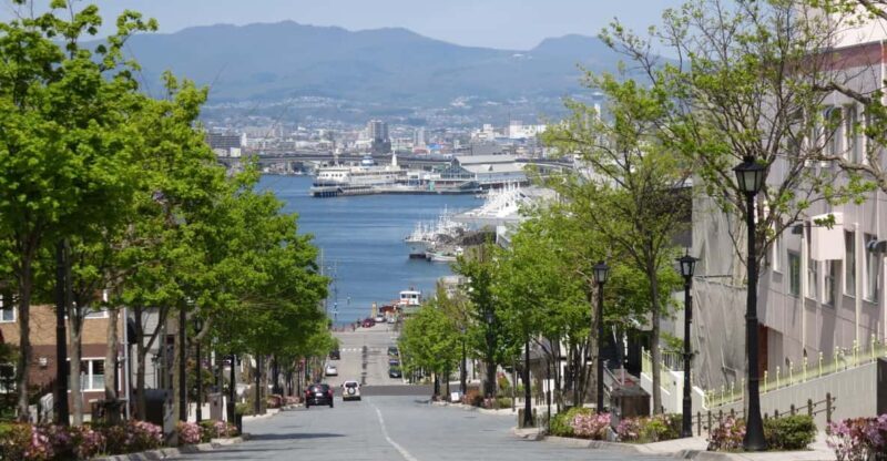 Hakodate: a half-day tour with Government Licensed guide - Practical Tips for Tour Participants