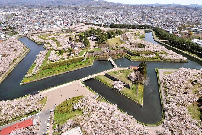 Hakodate Half-Day Private Tour With Government-Licensed Guide - Pricing