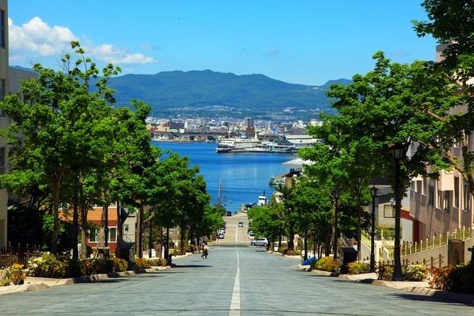 Hakodate Half-Day Private Tour With Government-Licensed Guide - Directions