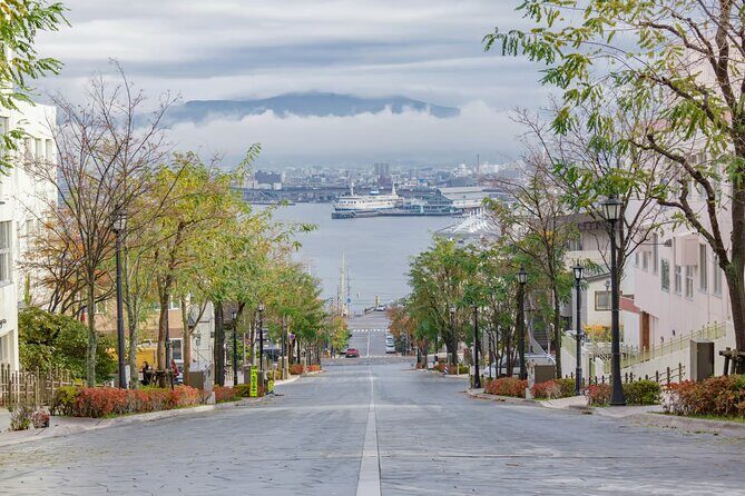 Hakodate Highlights 5 Hours Private Shore Excursion - Why This Tour Offers Great Value