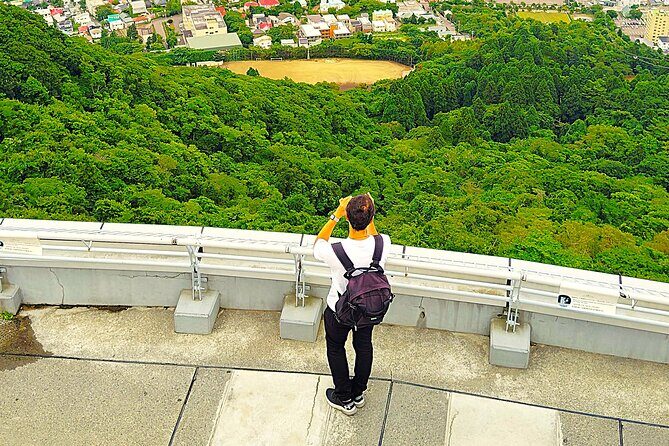 Hakodate: Historic Port Walk & Mt. Hakodate Panoramic Views - A Closer Look at the Tour Itinerary