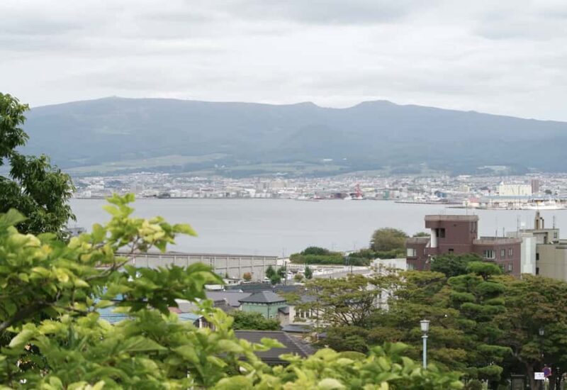 Hakodate/Hokkaido Private Tour with Local Guide - Exploring Hakodate: What You Can Expect
