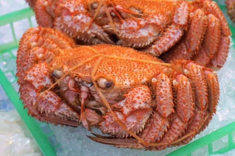 Hakodate: Morning Market Tour with Seafood Tasting Options - Good To Know