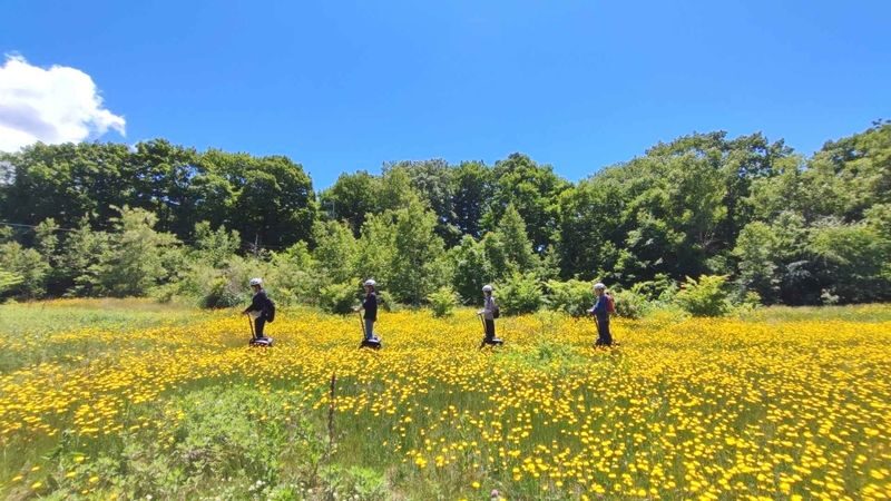 Hakodate-Onuma Segway Adventure with Local Guides - What you may see along the way
