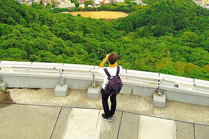 Hakodate: Romantic Port Walk & Mt. Hakodate Night View - Exploring Hakodates Evening Charm