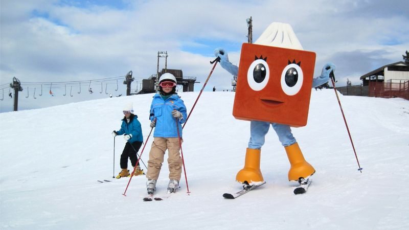 Hakodateyama Ski Resort Beginner Lesson & Snow Fun from Osaka - Is this the right snow day for you?