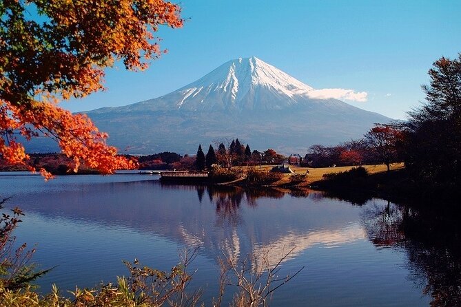 Hakone 8 Hour Private Tour With Government-Licensed Guide - Positive Feedback on the Tour Experience