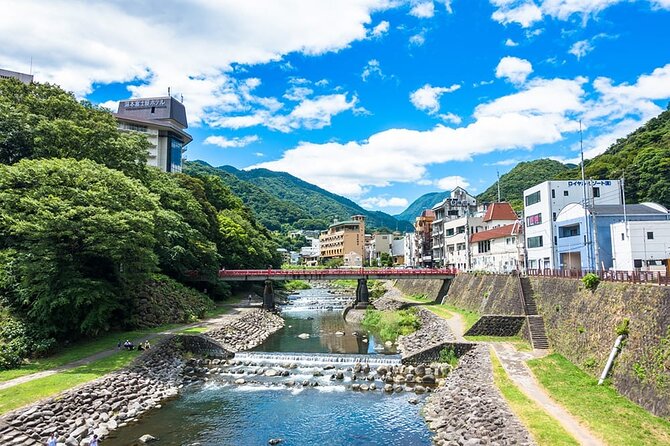 Hakone 8 Hour Private Tour With Government-Licensed Guide - Enjoyment of Hakone Tour