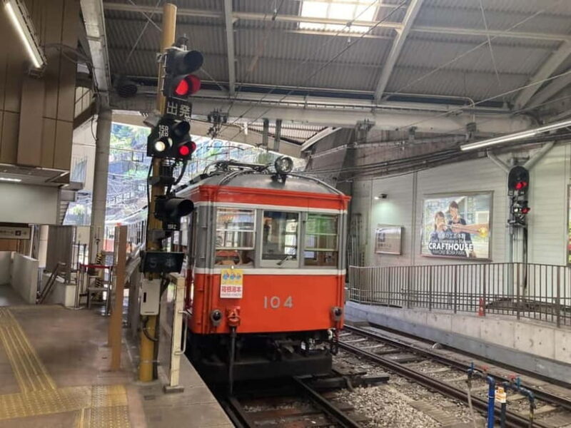 Hakone Adventure: Explore Natures Beauty and Tranquility - FAQ