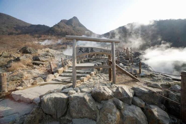 Hakone Adventure Tour (With English/Japanese Speaking Guide) - Pricing Details