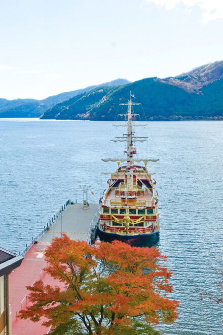 Hakone Adventure Tour (With English/Japanese Speaking Guide) - Customer Experience