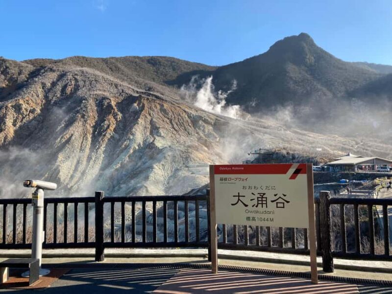 Hakone and Kamakura: 3-day Rail Pass - Who Should Consider This Pass?