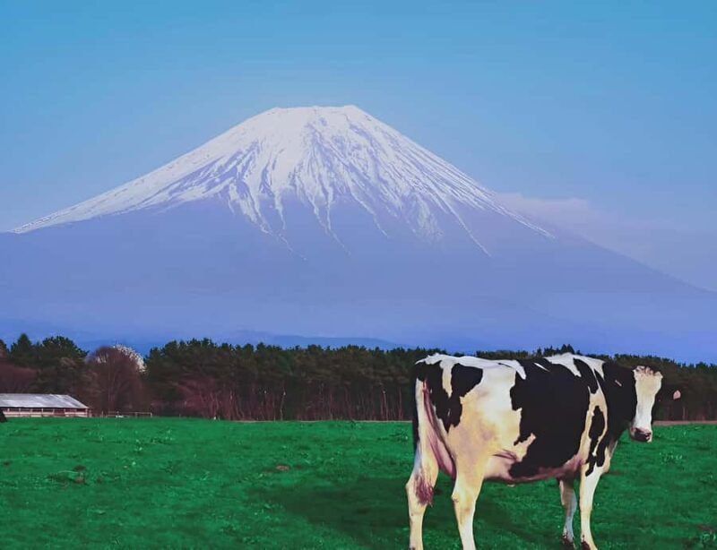 Hakone And Mount Fuji Private Tour With Hotel Pick Up - Exploring the Highlights of the Private Tour