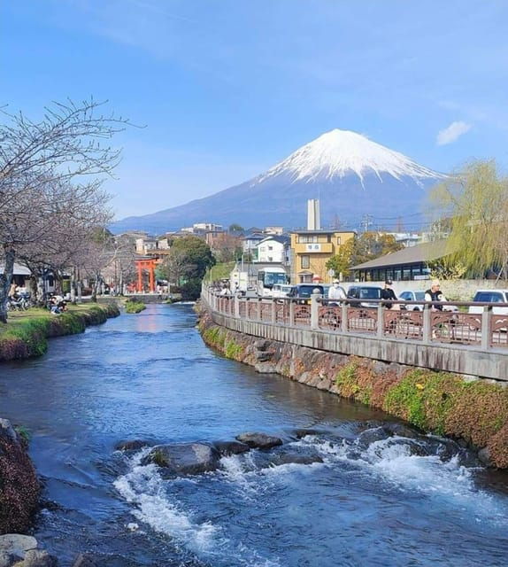 Hakone and Mt Fuji Private Tour With English Speaking Driver - Customer Experience