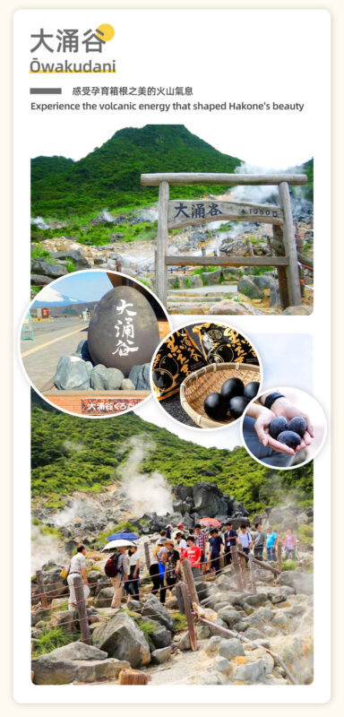 Hakone Ashinoko Lake Water Torii & Hakone Pirate Ship & Hakone Ropeway & Kamakura Enoshima Day Trip (From Tokyo) - What to know before you book