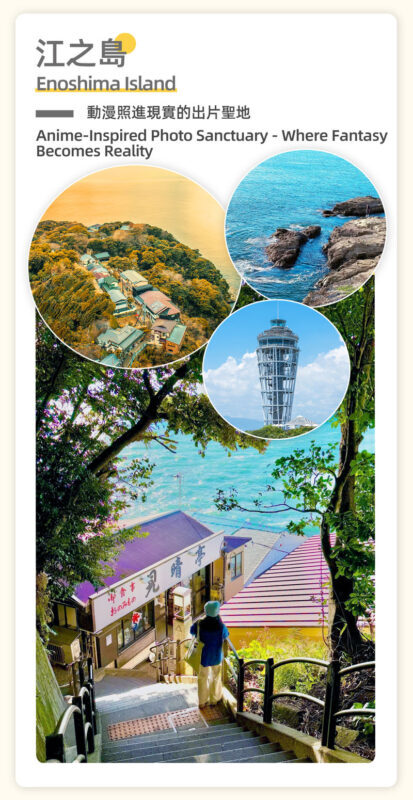 Hakone Ashinoko Lake Water Torii & Hakone Pirate Ship & Hakone Ropeway & Kamakura Enoshima Day Trip (From Tokyo) - Is this Tokyo day trip a good fit?