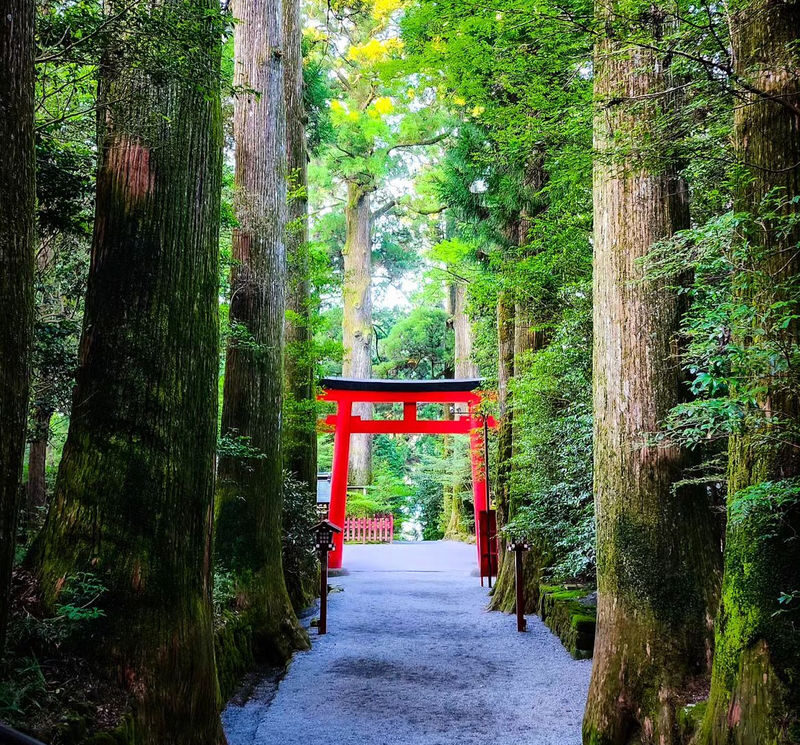 Hakone & Atami Fireworks Day Trip: Mt. Fuji Hakone Shrine & Floating Torii Gate & Lake Ashi Lakeside Stroll & Atami Sun Beach & Atami Fireworks Festival (From Tokyo) - The guide and bus matter on this route