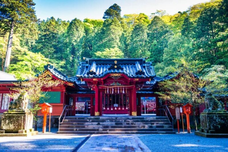 Hakone: Customizable Full Day Tour with Private Transfer - Who Will Love This Tour?