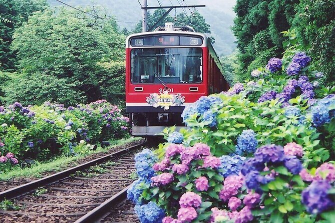 Hakone Day Tour to see Mt Fuji with Wooden Culture - FAQs