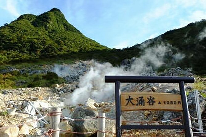 Hakone Day Tour With Lake Ashi Cruise and Ohwakudani - Common Questions