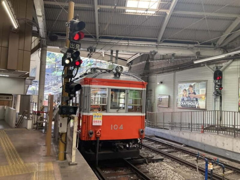 Hakone: Evangelion Anime Tour with Professional Guide - Good To Know