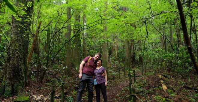 Hakone: Forest Bathing Hike With Lake Ashi and Mt. Fuji View - Highlights of the Experience