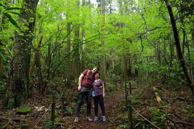 Hakone: Forest Bathing Hike With Lake Ashi and Mt. Fuji View - Forest Bathing Benefits