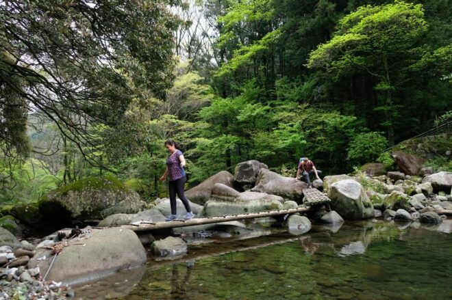 Hakone: Forest Bathing Hike With Lake Ashi and Mt. Fuji View - Essential Information