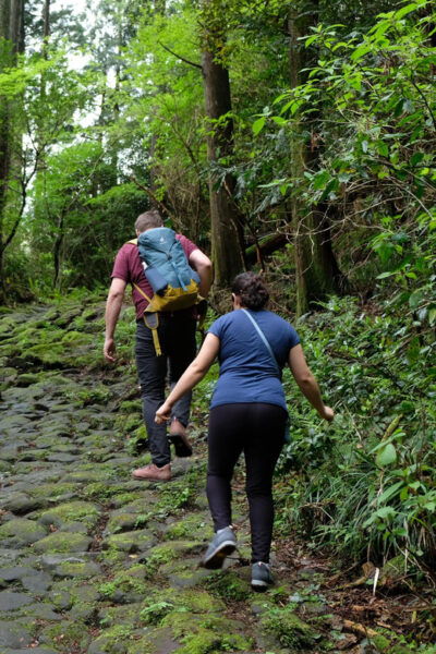 Hakone: Forest Bathing Hike With Lake Ashi and Mt. Fuji View - Recommended Packing List