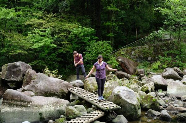 Hakone: Forest Bathing Hike With Lake Ashi and Mt. Fuji View - Scenic Views and Photography