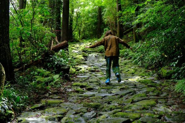 Hakone: Forest Bathing Hike With Lake Ashi and Mt. Fuji View - Frequently Asked Questions