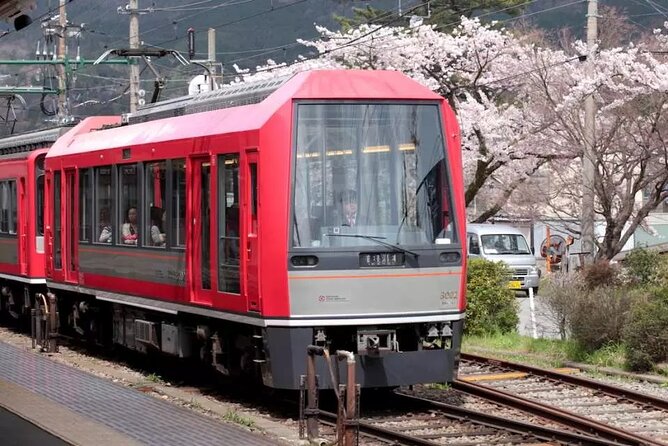 Hakone FreePass, 2-3 Days Japan - Booking and Travel Details