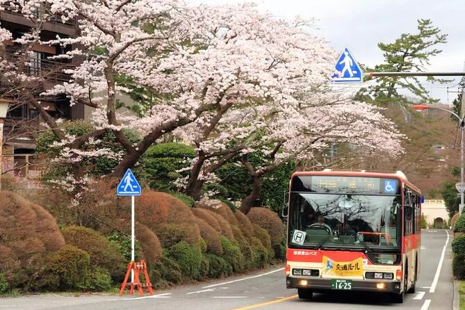 Hakone FreePass, 2-3 Days Japan - Expectations and Accessibility