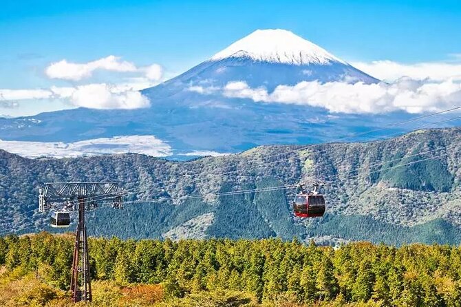 Hakone FreePass, 2-3 Days Japan - The Sum Up