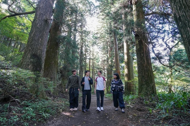 Hakone Full Day Chartered Private Tour: Art & Nature - Lunch, then a boat across Lake Ashi