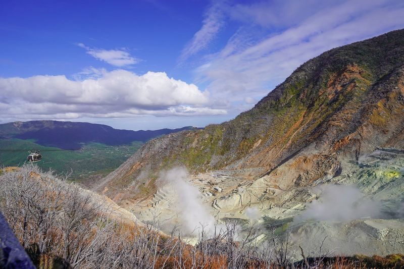 Hakone Full Day Chartered Private Tour: Art & Nature - A cafe stop and the return to Tokyo
