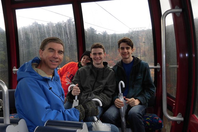 Hakone Full-Day Private Tour By Public Transportation - Price