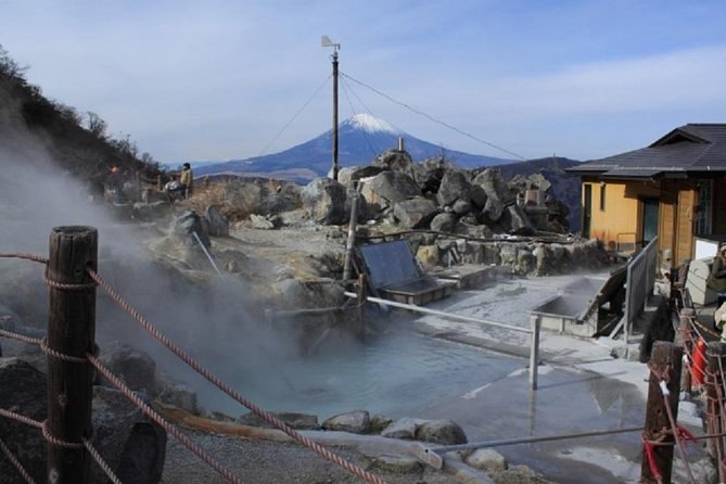 Hakone Full-Day Private Tour By Public Transportation - The Sum Up