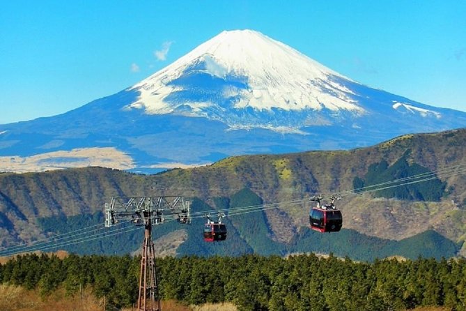 Hakone Full-Day Private Tour - Meeting Point and End Point