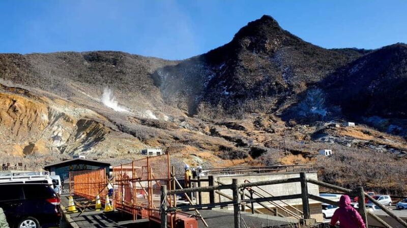 Hakone Full-Day Private Tour from Tokyo (Customizable) - A Deep Dive into the Hakone Experience