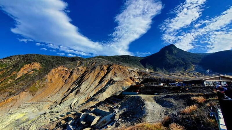 Hakone Full-Day Private Tour from Tokyo (Customizable) - Real Experiences and Insights