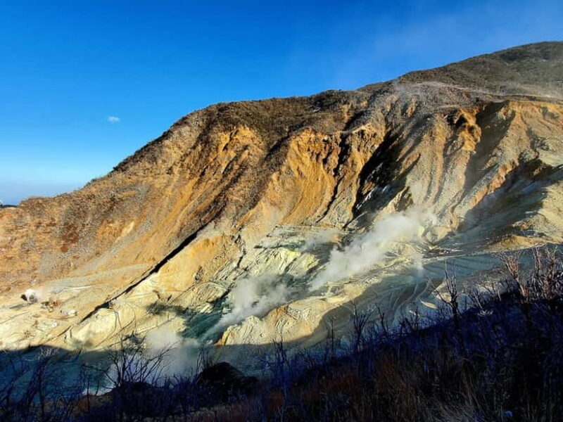 Hakone Full-Day Private Tour from Tokyo (Customizable) - Authentic Experiences & Authenticity