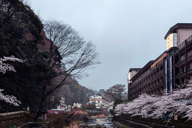 Hakone Full-Day Private Tour Hotel Pickup and Highlights - An In-Depth Look at the Hakone Full-Day Private Tour