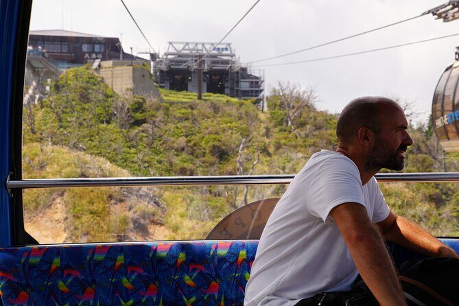 Hakone Full-Day Private Tour Hotel Pickup and Highlights - Transportation and Cost Analysis