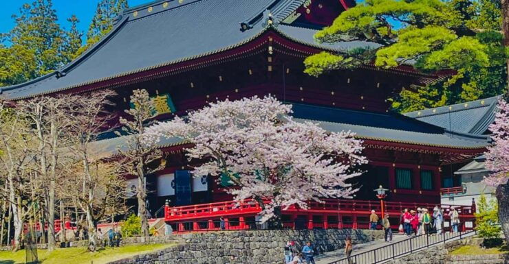 Hakone: Full Day Private Tour With English Speaking Driver - Pickup and Drop-off Details