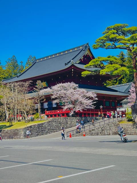 Hakone: Full Day Private Tour With English Speaking Driver - Itinerary Highlights