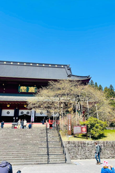 Hakone: Full Day Private Tour With English Speaking Driver - Booking Information